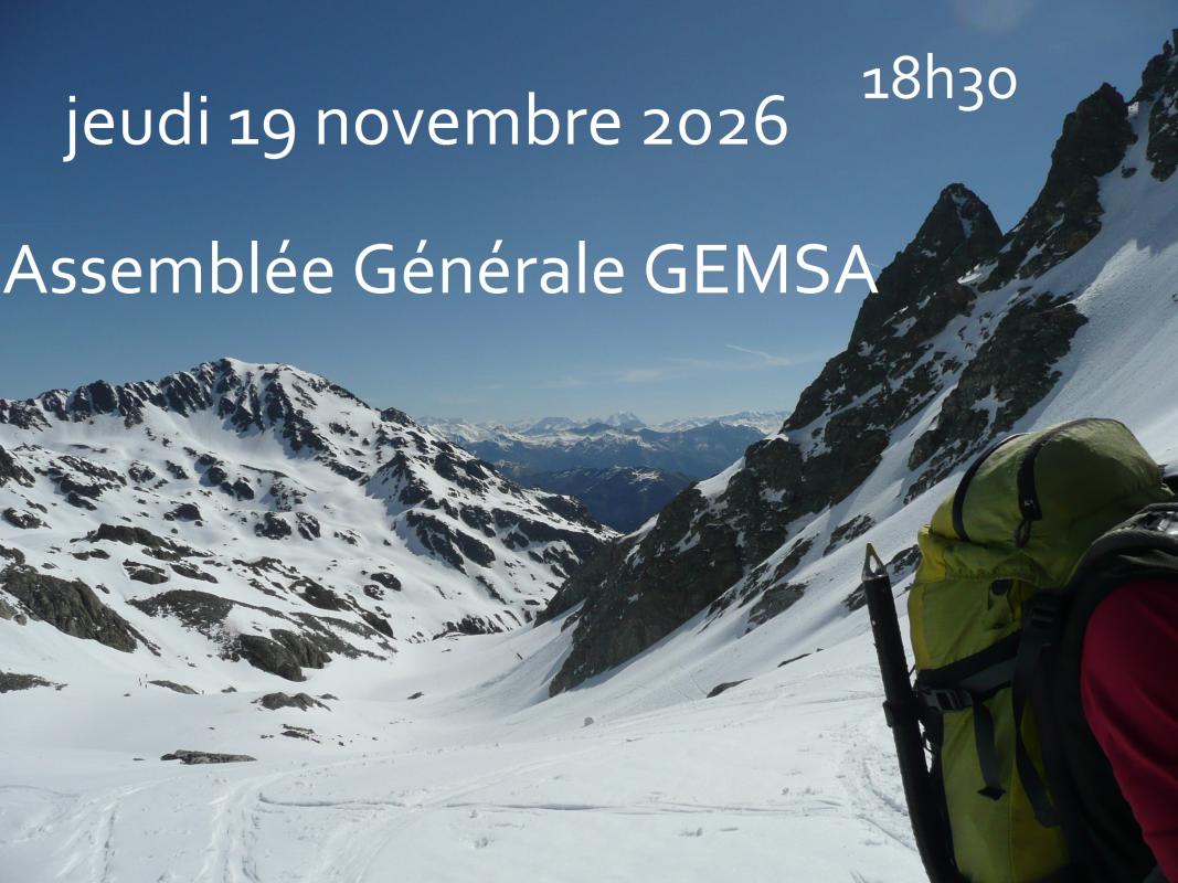 Assemblée Générale GEMSA 2026
