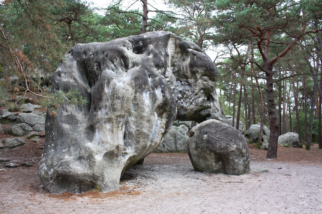 L'éléphant