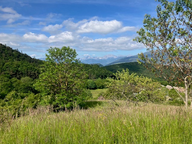 Gd Veymont et Mont Aiguille au loin